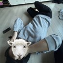 GoGo 당구장 | 우리는 순간 속에서 영원을 경험한다