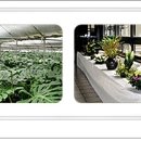 금수농장2 이미지