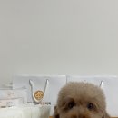 범서한방동물약국 이미지