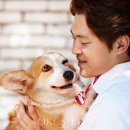 라이크스프링 이미지
