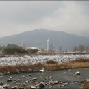 실상사 석장승 Daum카페