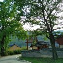 성사영묘 이미지