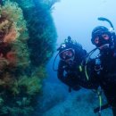 Bubble line 이미지