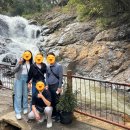 크레이지카케어 | 나트랑 달랏 패키지 여행✈️하나투어 내돈내산 솔직후기 (2)