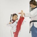 영진태권도 이미지