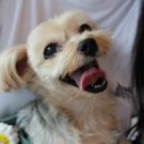 두림농장 이미지