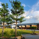 버드글램핑 이미지