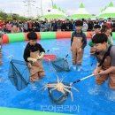 크랩킹 투어코리아