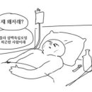 아로마코 이미지