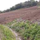 덕산면043 이미지