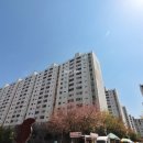 국화동성 이미지