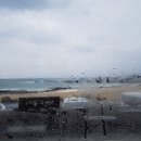 바다커피숍 - 수영구 | 바다커피숍