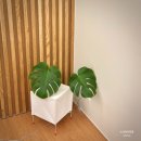 스테이레이어 이미지