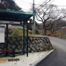 팔공산녹색길 숲길 1코스 이미지