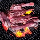 톱머리리조트 이미지