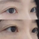 대전속눈썹연장 유지력 만족했던 둔산동속눈썹연장 유이오뷰티 후기