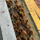 청소년수채화교실 | 가을🍂🍁 힐링 데이트 모음zip.1🧡