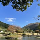 [진도여행] 진도 가볼만한 곳 운림산방 / 진도 쏠비치 픽업 횟집 바닷가그집