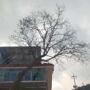 객현2리 이미지