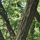 달의 정원 이미지