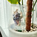 유봉 | 유봉펫 야간반사 H형 강아지 하네스 후기