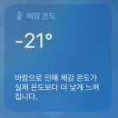 2023.12.22 (퇴사 한달차. 먹는거 말고 한게 뭔데?)