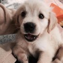 이오엘헤어