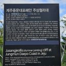 여행 333. 제주도 여행[대포 주상절리, 석식과 숙박](결과 &amp; 후기)