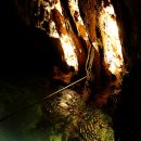 단고을한우마을 이미지