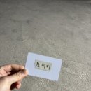 문치비 | 제주 서귀포 흑돼지 맛집 문치비 신서귀포점 내돈내산 후기