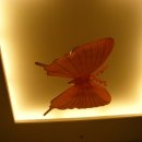 스카이쇼모텔 이미지