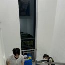 춘맥