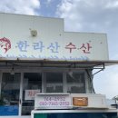 [제주/서귀포] 삼다수 사러 간 하나로마트 위미농협 장보기