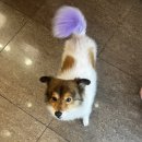 백조미용실 이미지