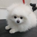 몽앤쥬 네이버블로그