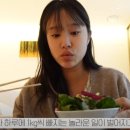 헤이지니 이미지