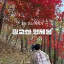 형제봉 | 서울 인근 등산 초보 추천 광교산 형제봉 등반후기