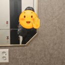 울산 약사동필라테스 솔필라테스 그룹레슨 후기 첫방문전 필독 추천