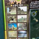 공상식 Daum카페