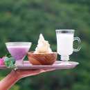 고산목장 이미지