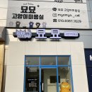 묘묘 고양이 미용실 이미지