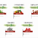 피오나화장품