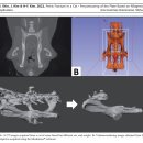 청라공감동물병원 이미지