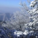 평창 휘닉스파크의 겨울풍경과 눈꽃을 담아왔습니다 이미지