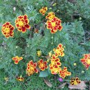 영일만온천 이미지