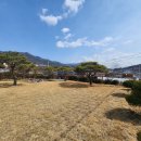 집보고땅보고공인중개사사무소 이미지