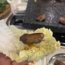 제주흑다돈 | 강남역 신논현역 오겹살 삼겹살 고기집 추천 고기 맛집 • 제주흑다돈 • 솔직후기