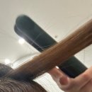 파뿌리살롱