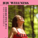 웰니스9 이미지