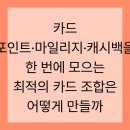 카드 포인트·마일리지·캐시백을 한 번에 모으는 최적의 카드 조합은 어떻게 만들까